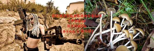 apvp Касимов