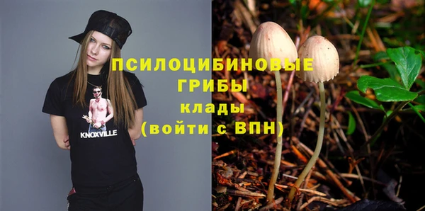 apvp Касимов