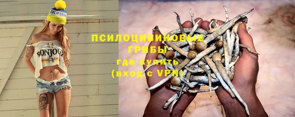 гидропоника Карталы